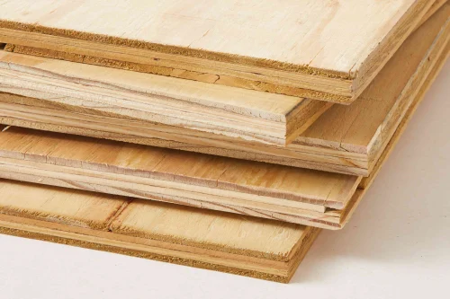 PLY101-675feba2e76d2-1.webp