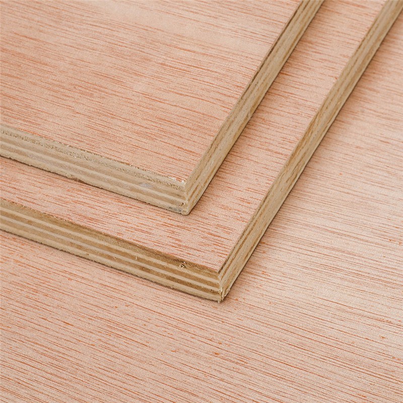 PLY102-675fe961b7fc3-2.jpg