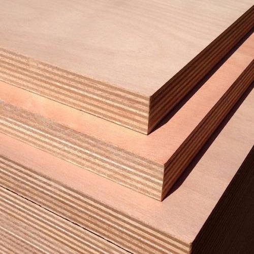 PLY103-675fea31e9913-3.jpg